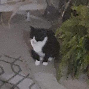 Meet your Posher, Becca